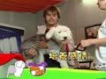 狗狗日记 第174天 Alpha像大明星