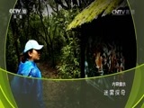 地理中国 《地理中国》 20161023 迷雾探奇