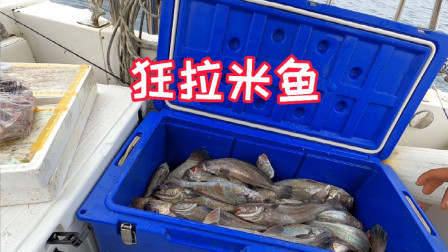 双机225马力的快艇跑外海钓鱼，光油费就是6000块，到底能钓多少