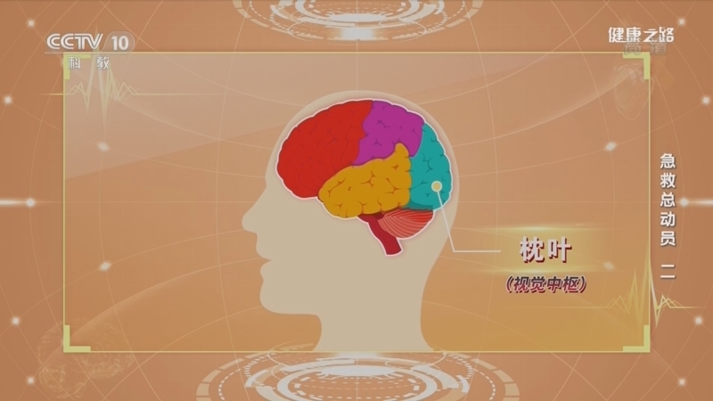 健康之路 《健康之路》 20221014 急救总动员（二）