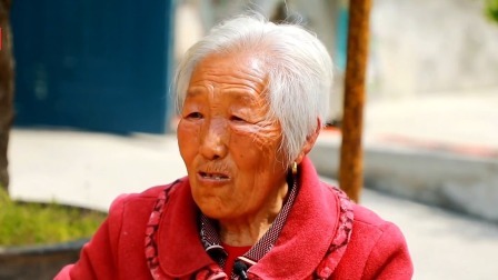 养生堂 2024 打卡养生宝藏地之津郊