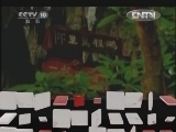 地理中国 《地理中国》 20120817 系列节目《秘境零距离》——天赐奇洞