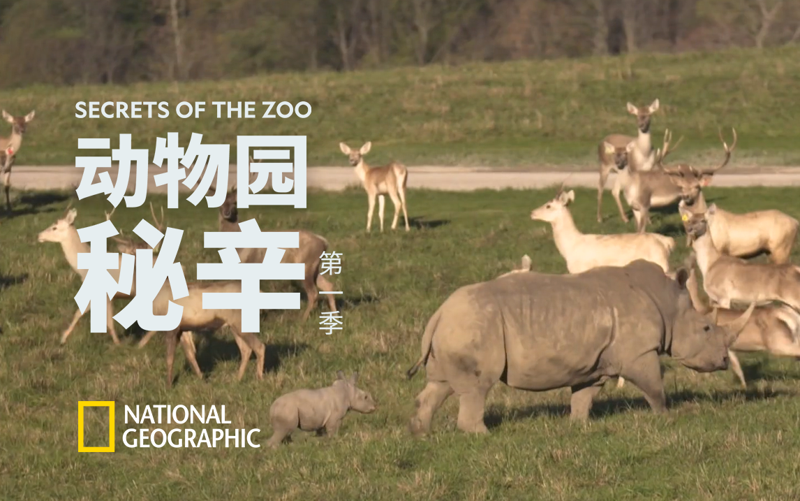 犀牛宝宝诞生记