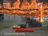 谁是终极英雄 《谁是终极英雄》 20160117 2015年度观众最喜爱的终极英雄评选