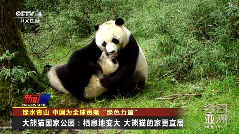 今日亚洲 《今日亚洲》 20221014