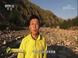 生财有道 《生财有道》 20170904 生态中国系列（草原行）——新疆巴里坤:生态草原美味生财