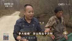 致富经 [致富经]“李大蛤蟆”深山淘出千万财 20161209