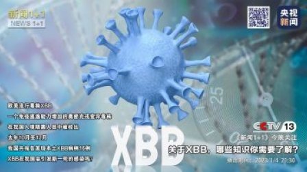 新闻1+1 2023 关于XBB，哪些知识你需要了解？