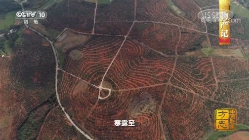 中国影像方志 《中国影像方志》 第480集 湖南常宁篇