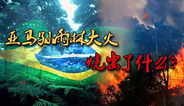 深度国际 《深度国际》 20190907 亚马孙雨林大火烧出了什么