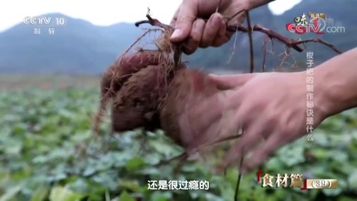 味道 《味道》 20190628 甄选版（39）食材篇