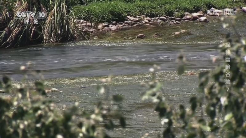 《地理·中国》 20260329 探秘幽暗谷地7