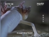 地理中国 《地理中国》暗洞之谜 20141025