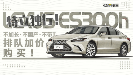 2019年加价排队等半年的狠货 非它莫属