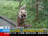 法治在线 法治在线 2009-09-22
