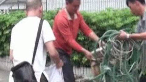 小强热线 小强热线20140507