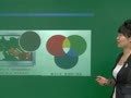 初二物理上学期预习课 【光现象】色散