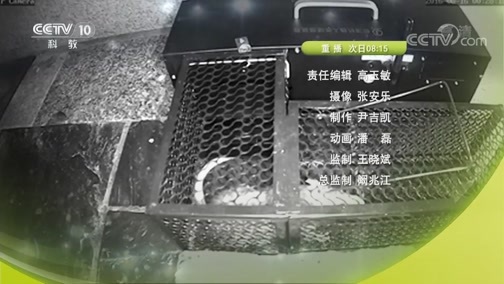 奥秘 《奥秘》 20190106 农忙进行时 5