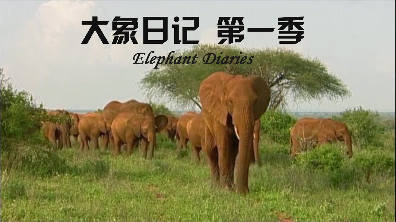 失亲只是一个开始 第一集