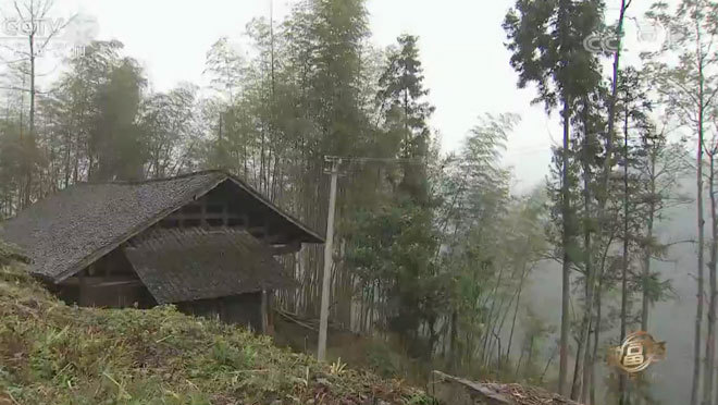 致富经 《致富经》 20200221 废弃木房子里的财富秘密