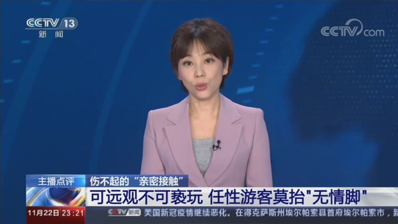 24小时 《24小时》 20201122