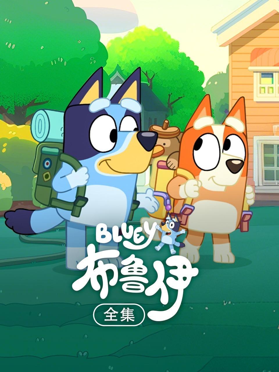 布鲁伊 全集
