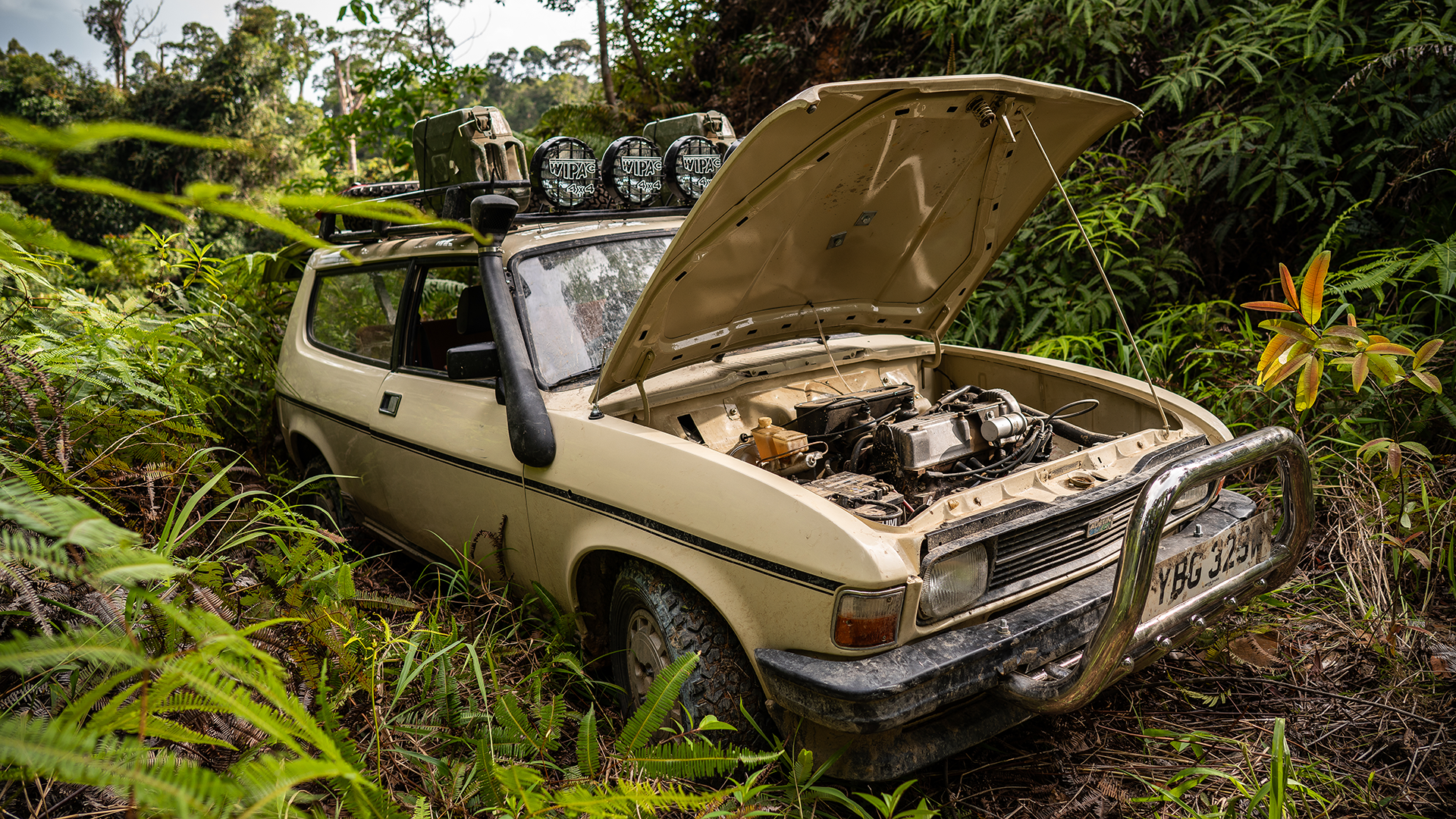 老爷车逃离雨林！成就原始丛林之王
