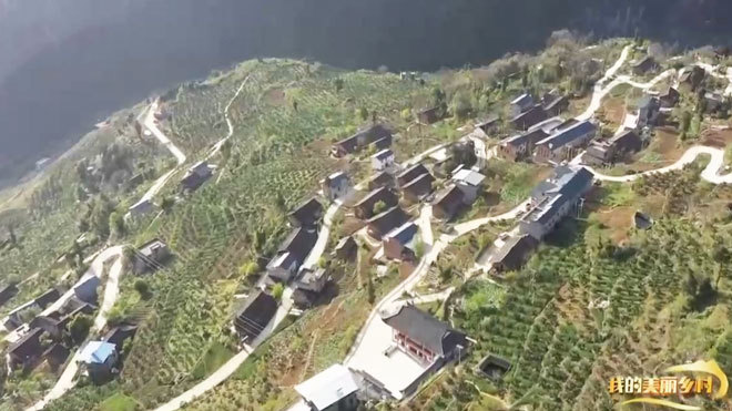 《我的美丽乡村》 20210815 天坑里的桃花源