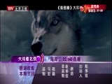 大戏看北京 《大戏看北京》 20150211 狼图腾 与狼共舞