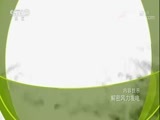 原来如此 《原来如此》 20171208 解密风力发电