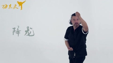 中国功夫史 降龙