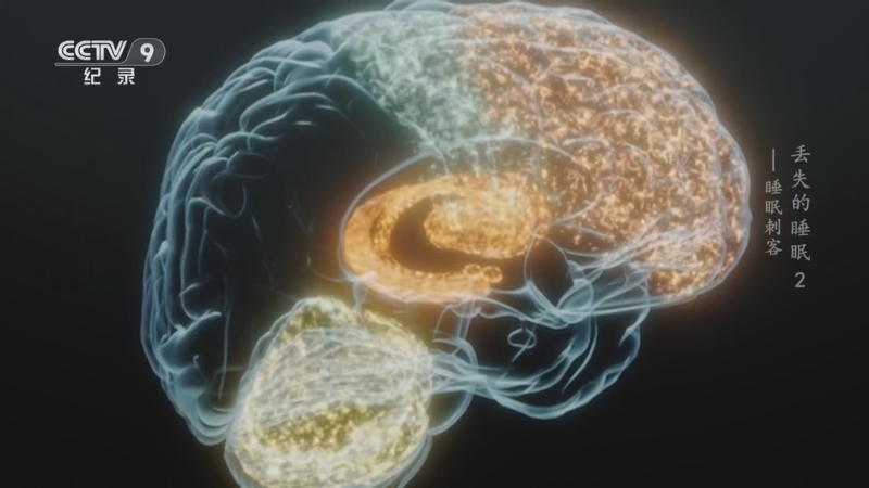 《丢失的睡眠》 第2集 睡眠刺客