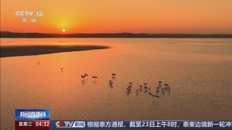 新闻直播间 《新闻直播间》 20251224 04:00