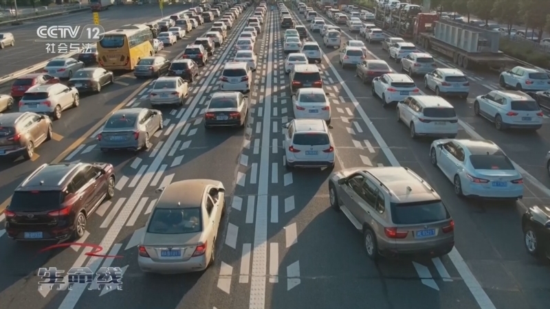 《生命线》 20260214