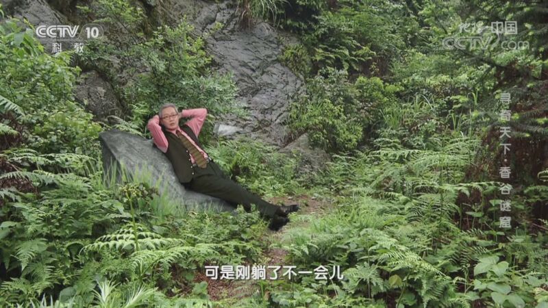 地理中国 《地理·中国》 20201004 寻奇天下·香谷谜窟