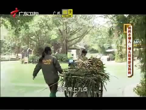 凡人大爱 《凡人大爱》 20140303 妈妈去哪儿 哪儿就有国宝妈妈