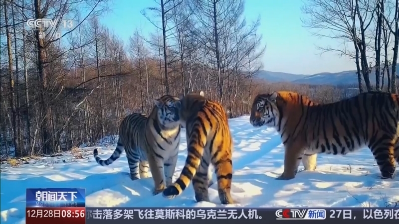 《朝闻天下》 20251228 08:00