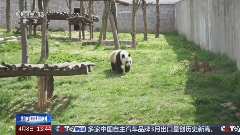 《新闻直播间》 20260408 13:00