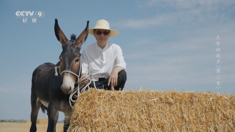 《文学的故乡 第二季》 第5集 刘亮程