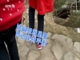 芝麻开门【央视】 《芝麻开门》 20160813 欢乐田园大挑战