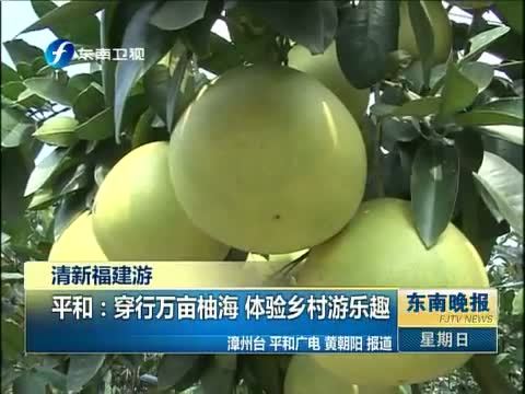 东南晚报 《东南晚报》 20141005