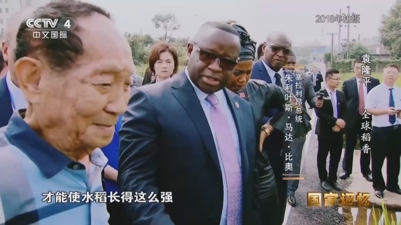 国家记忆 《国家记忆》 20250925 袁隆平 全球稻香