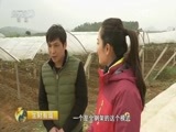 生财有道 《生财有道》 20160111 精准扶贫 小康中国系列：政府推 能人带 脱贫效果快
