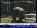 经济信息联播 聚焦暑期游 桑拿天“蒸”火避暑游