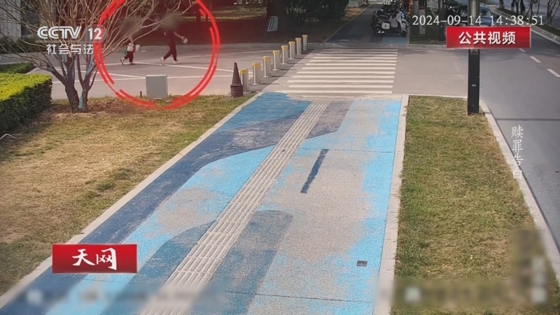 天网 《天网》 20260706 赎罪告白