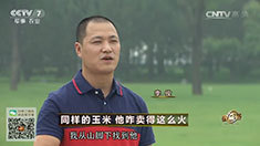 致富经 [致富经]同样的玉米 他咋卖得这么火 20160825