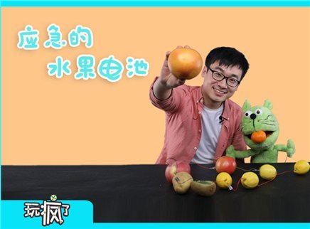 应急的水果电池