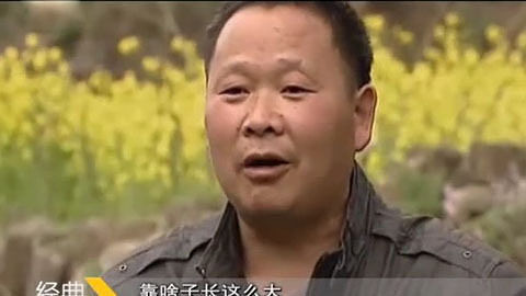 经典传奇 揭秘流鱼洞与长高石头
