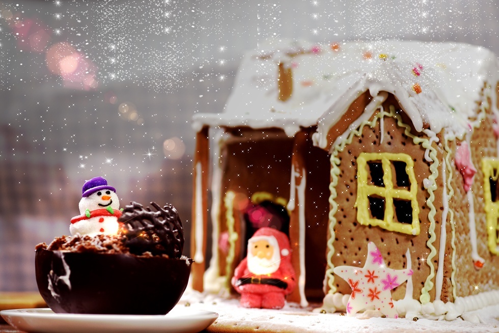 布朗尼圣诞盆栽蛋糕