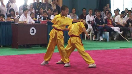 尘封赛事 尘封赛事 2005年第五届全国武术馆校武术比赛 对练比赛 001 男子双人对拳